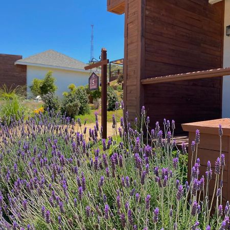 Entrevalle Hotel Boutique Valle de Guadalupe Zewnętrze zdjęcie