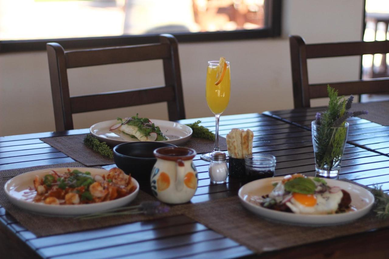 Entrevalle Hotel Boutique Valle de Guadalupe Zewnętrze zdjęcie