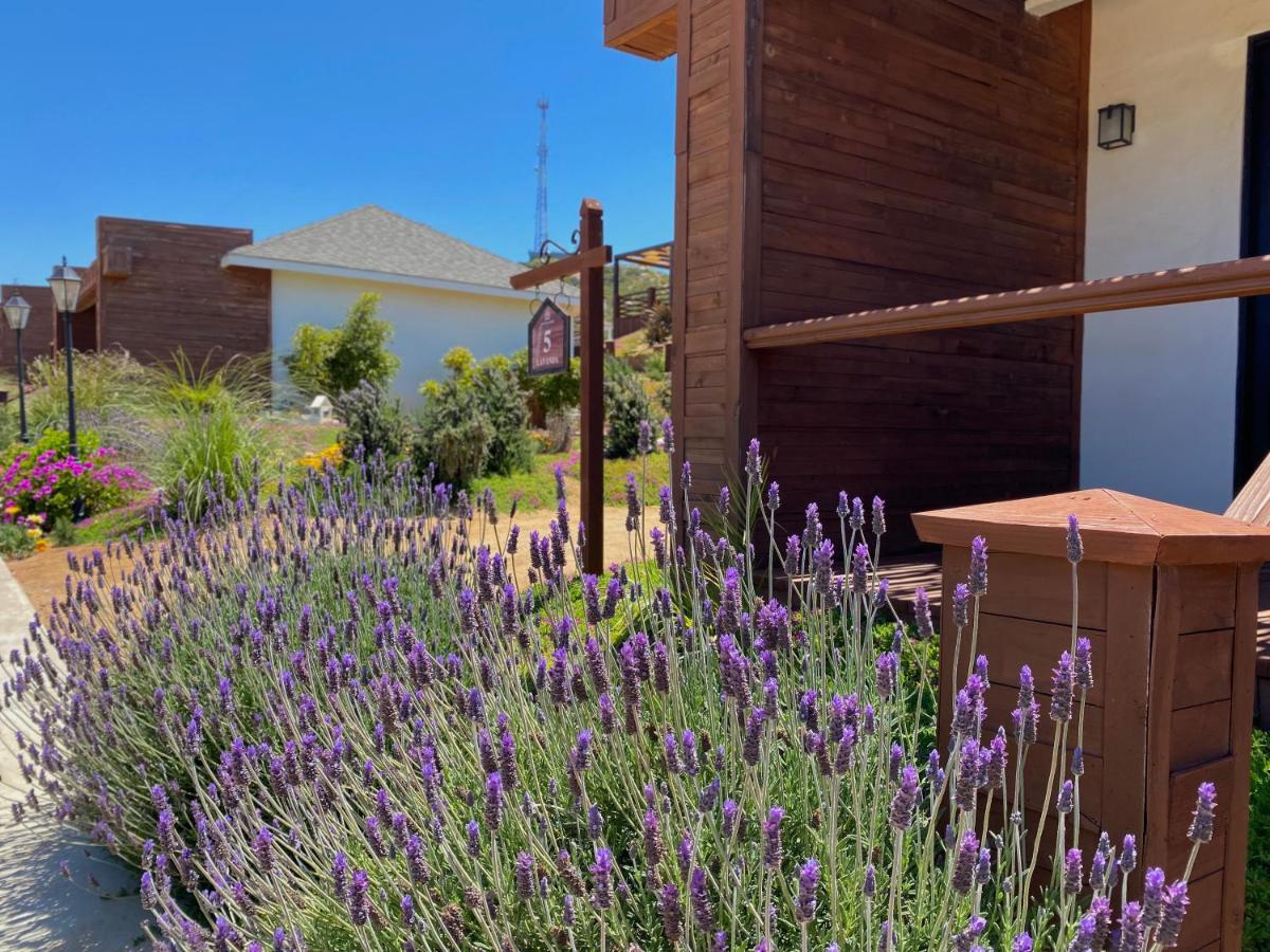 Entrevalle Hotel Boutique Valle de Guadalupe Zewnętrze zdjęcie
