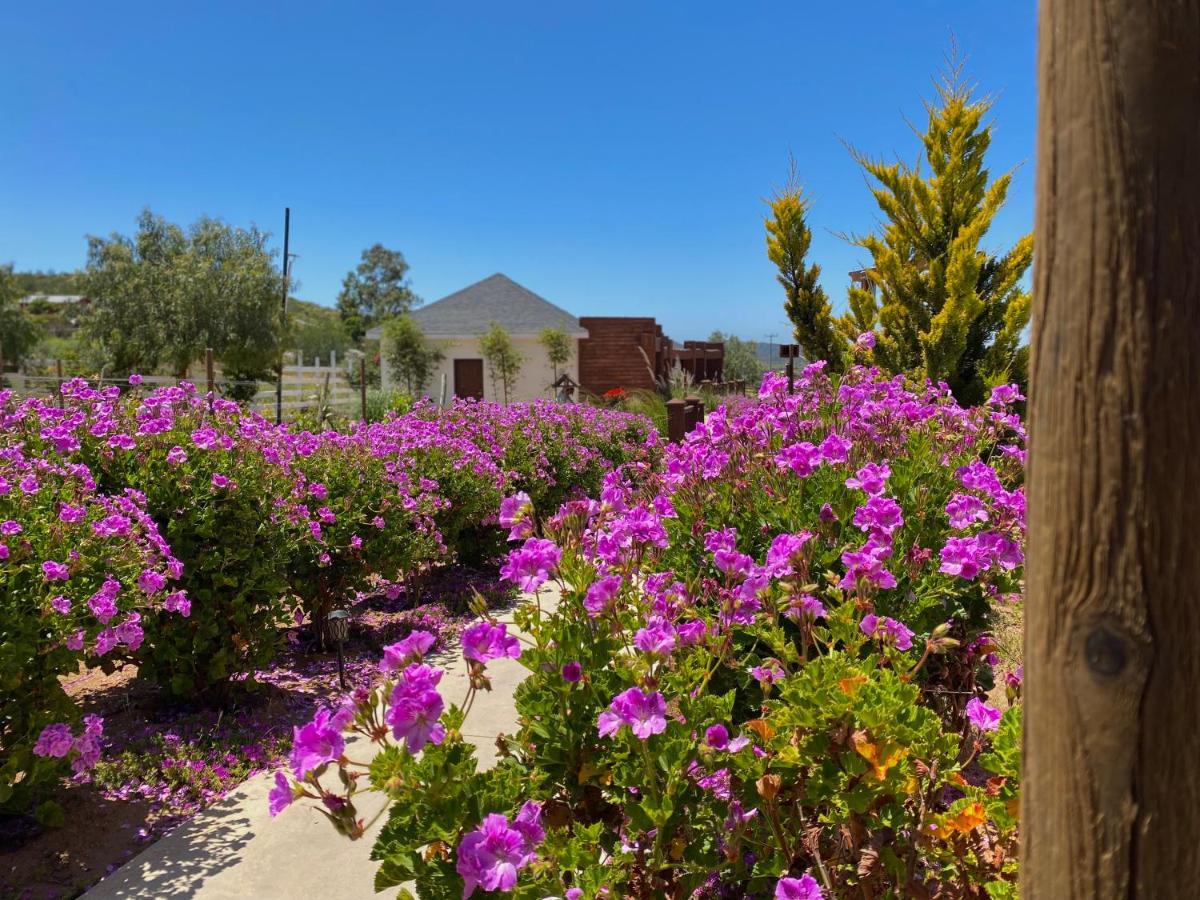 Entrevalle Hotel Boutique Valle de Guadalupe Zewnętrze zdjęcie