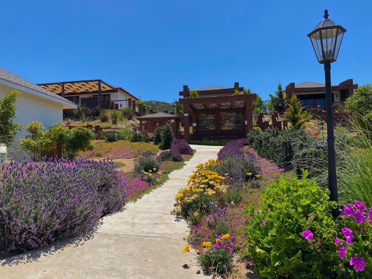 Entrevalle Hotel Boutique Valle de Guadalupe Zewnętrze zdjęcie